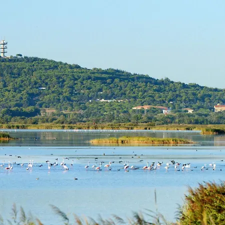 公寓 Santa Monica 1 By Interhome 阿格德